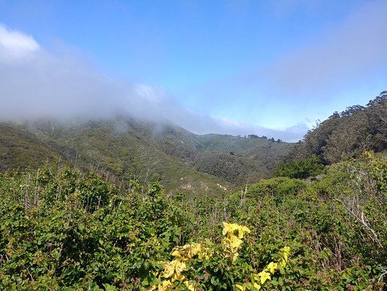 San Pedro Valley Park